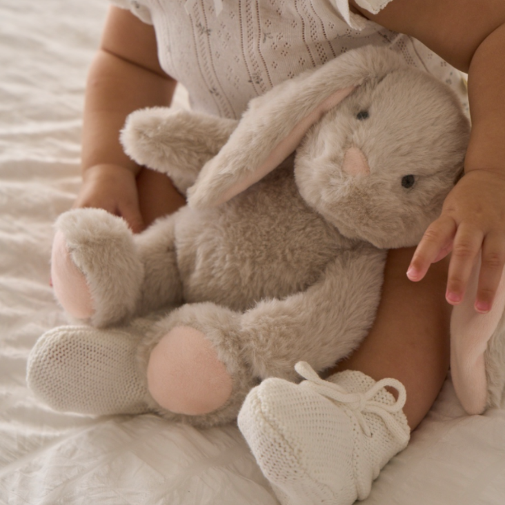 Plush Bunny