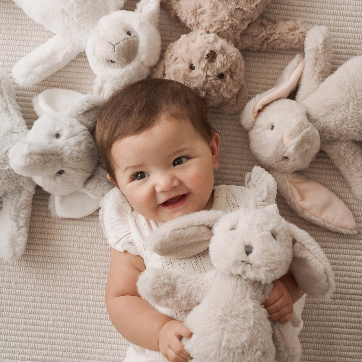 Plush Bunny